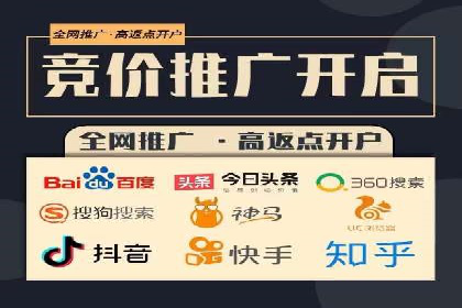 SEM广告投放的竞价策略与效果评估案例